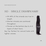 Casablanca Honey Blonde Vietnamese Straight Bundles